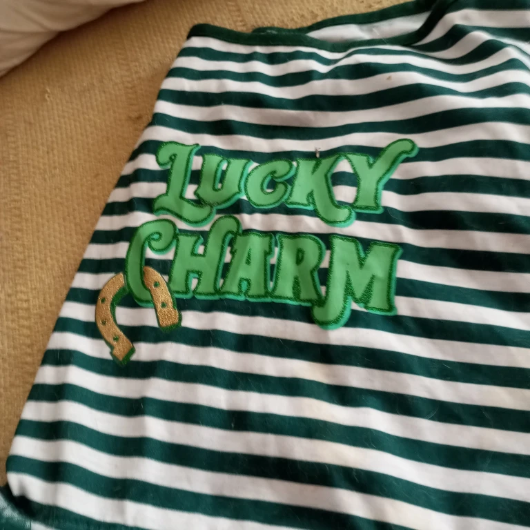 Lucky Charm Dog Dress - photo 3