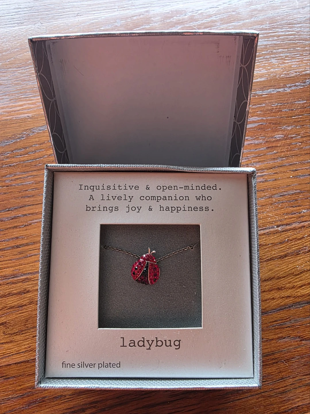 Kohl's Ladybug Necklace