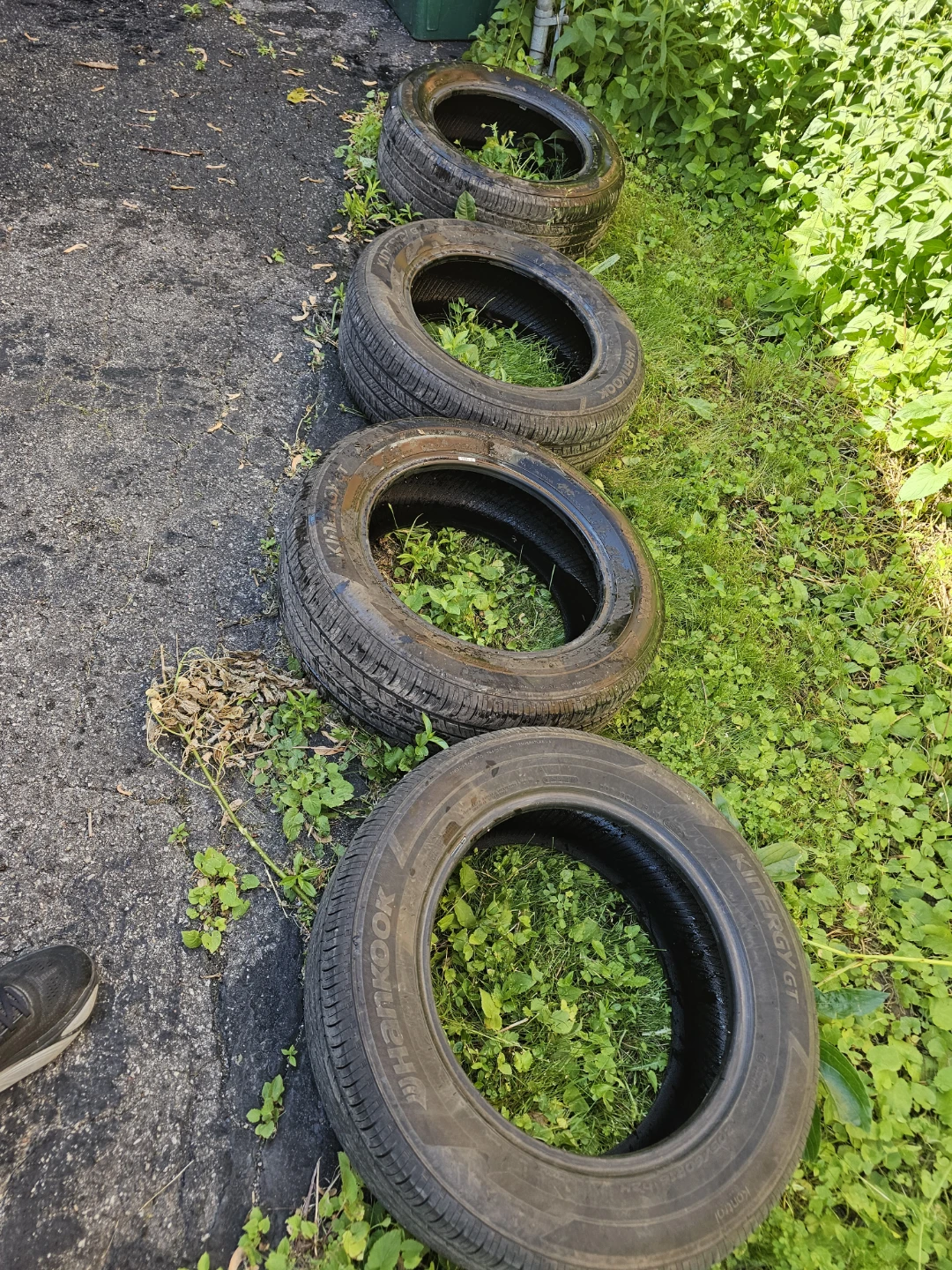 205 60 16 All season tires