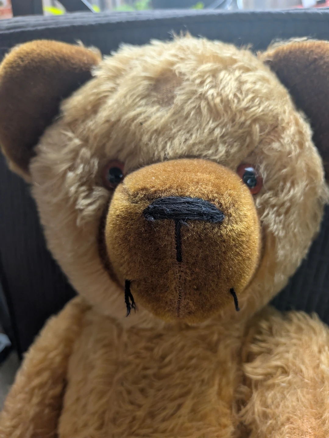 Vintage 1950's large Teddy Bear Plush Toy made in Germany - photo 4