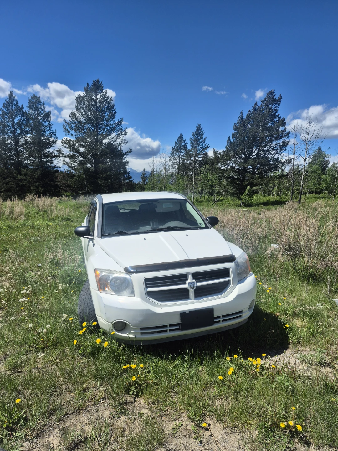 White Dodge Caliber - photo 2