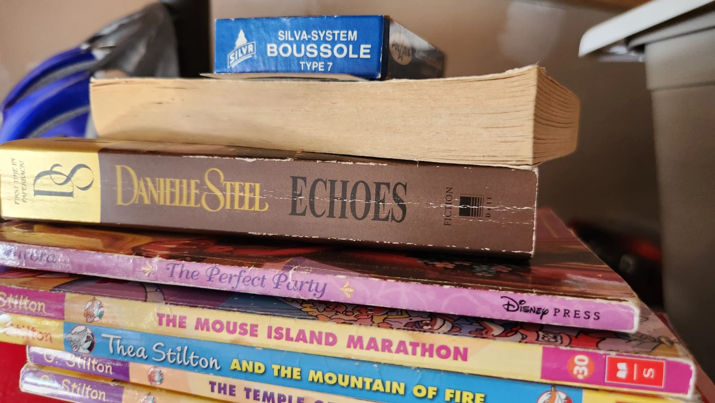 ⚽Danielle Steel Echoes Book
