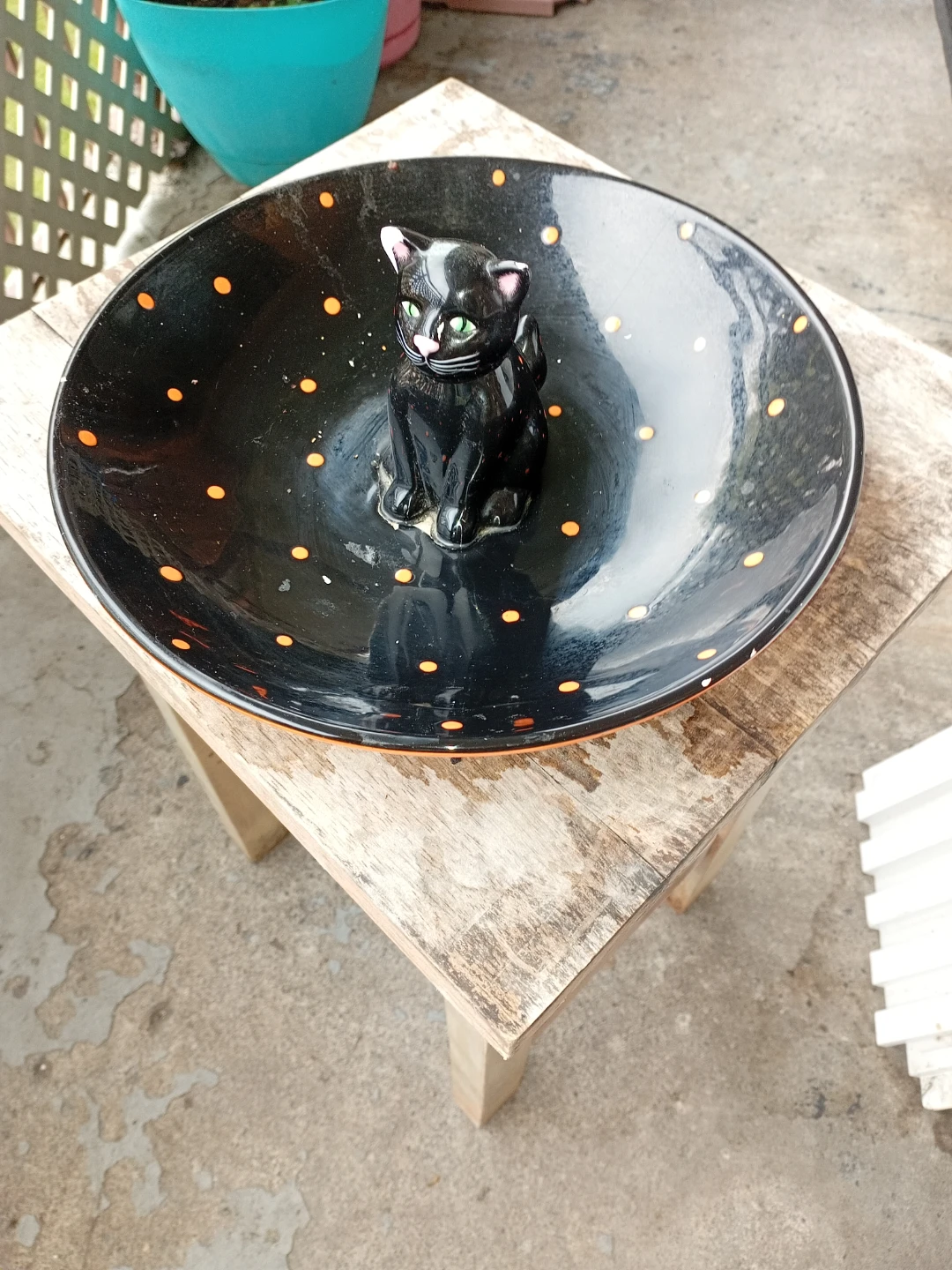 Black Cat Bowl with Orange Polka Dots