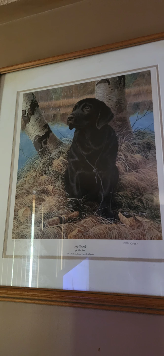 My Buddy by Mia Lane Framed Print⚽️