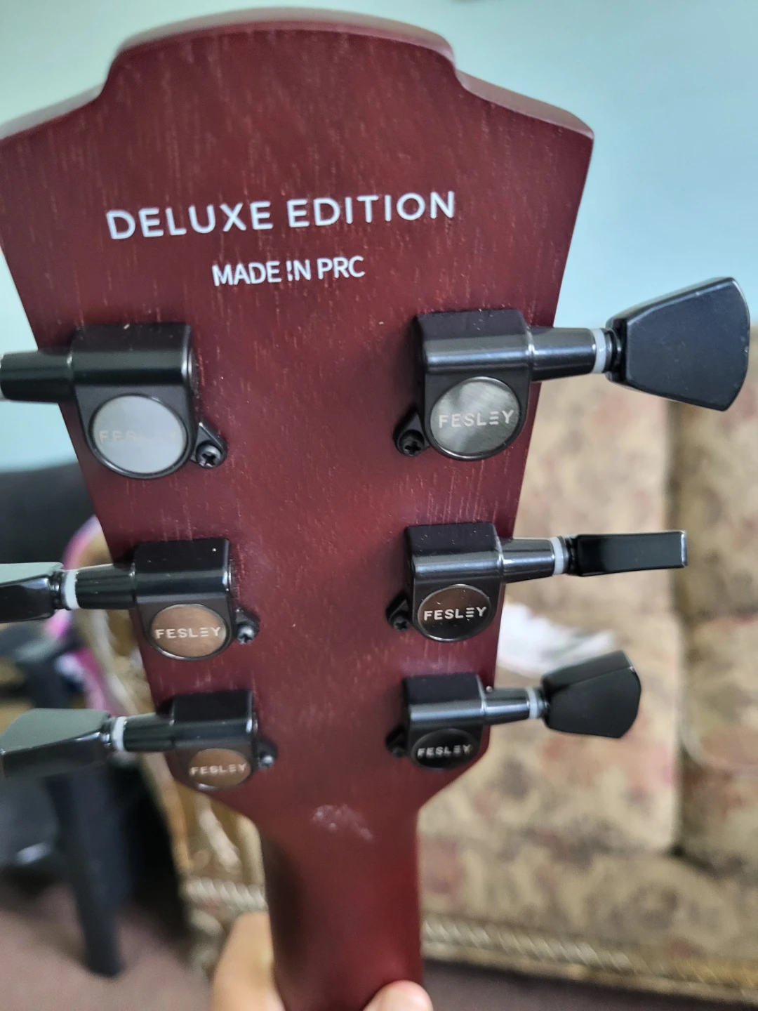 Fesley Electric Guitar Deluxe Edition - photo 3
