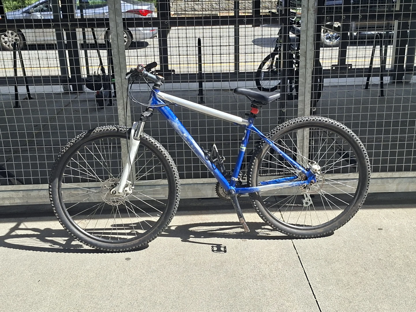 Blue Mountain Bike