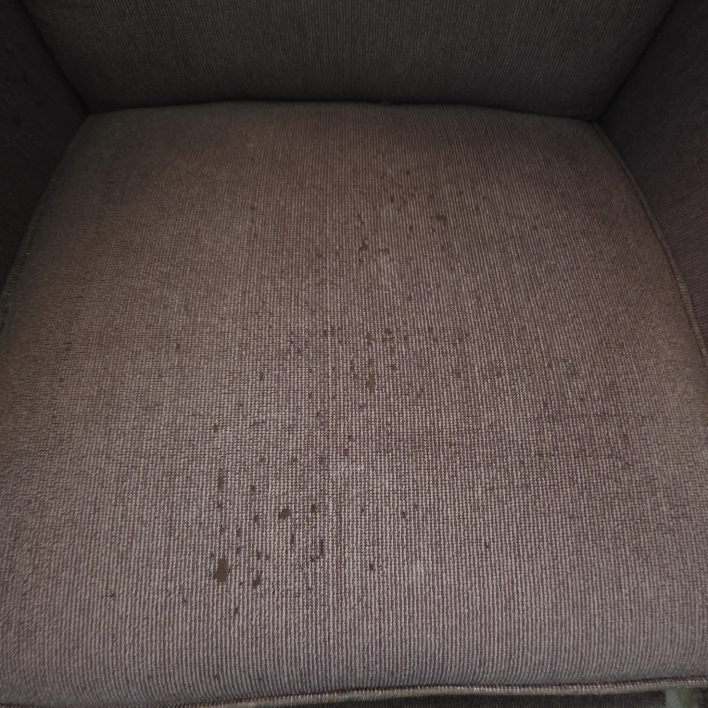 Lazyboy rocker plus recliner - photo 2