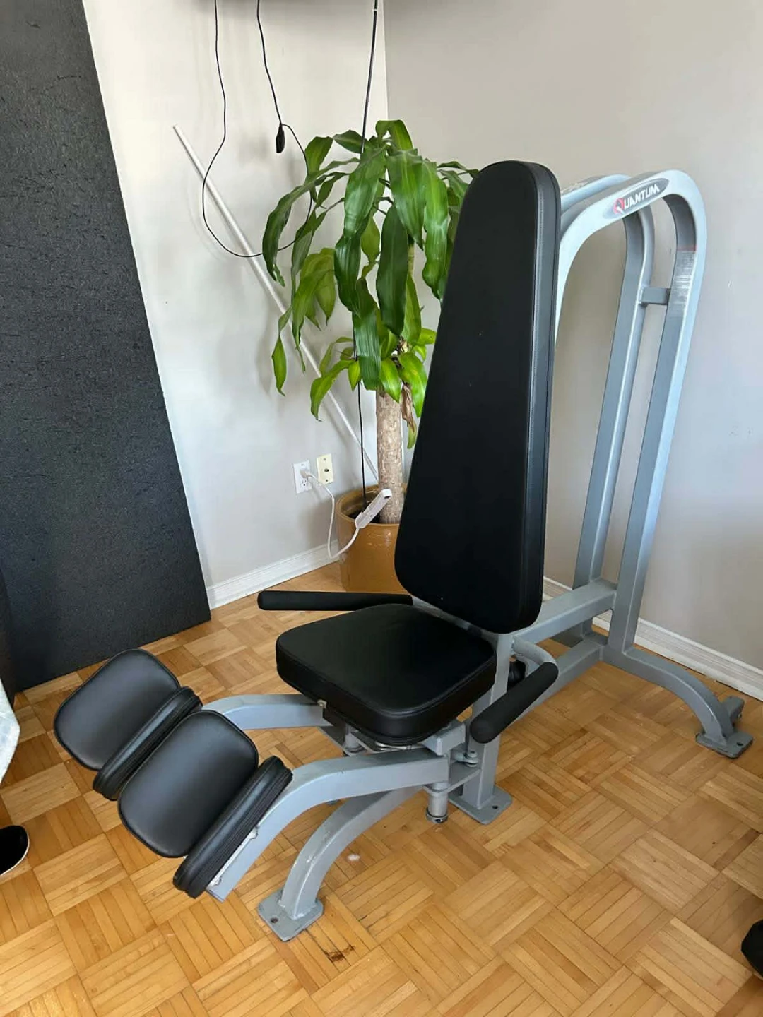 Quantum Fitness Machine - photo 2