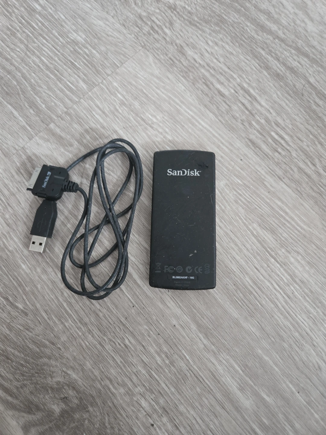 SanDisk Sansa MP3 Player with USB Cable - photo 2