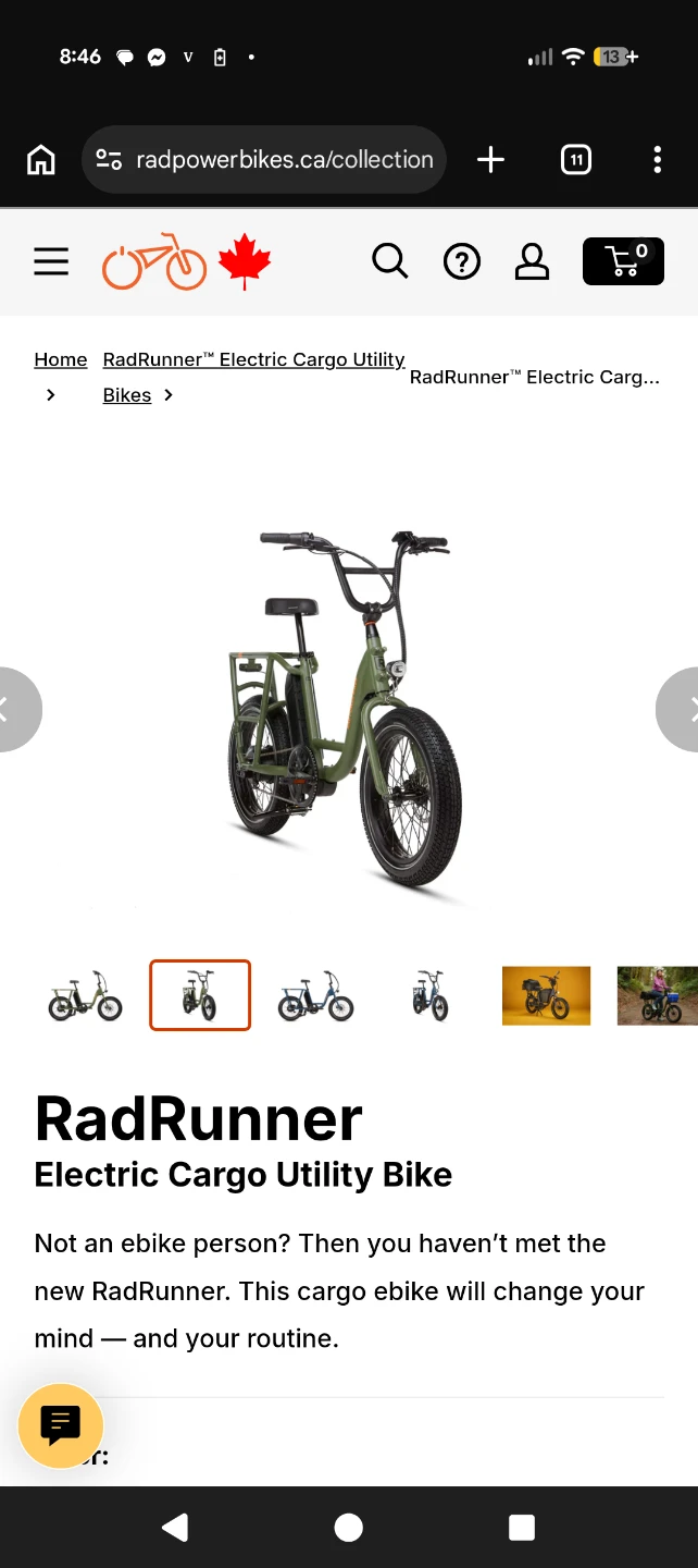 RadRunner Electric Cargo Utility 🚲 - photo 3