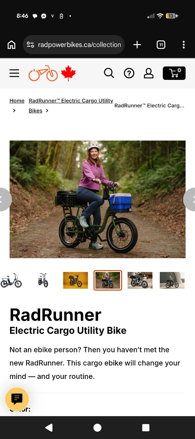 RadRunner Electric Cargo Utility 🚲 - photo 4