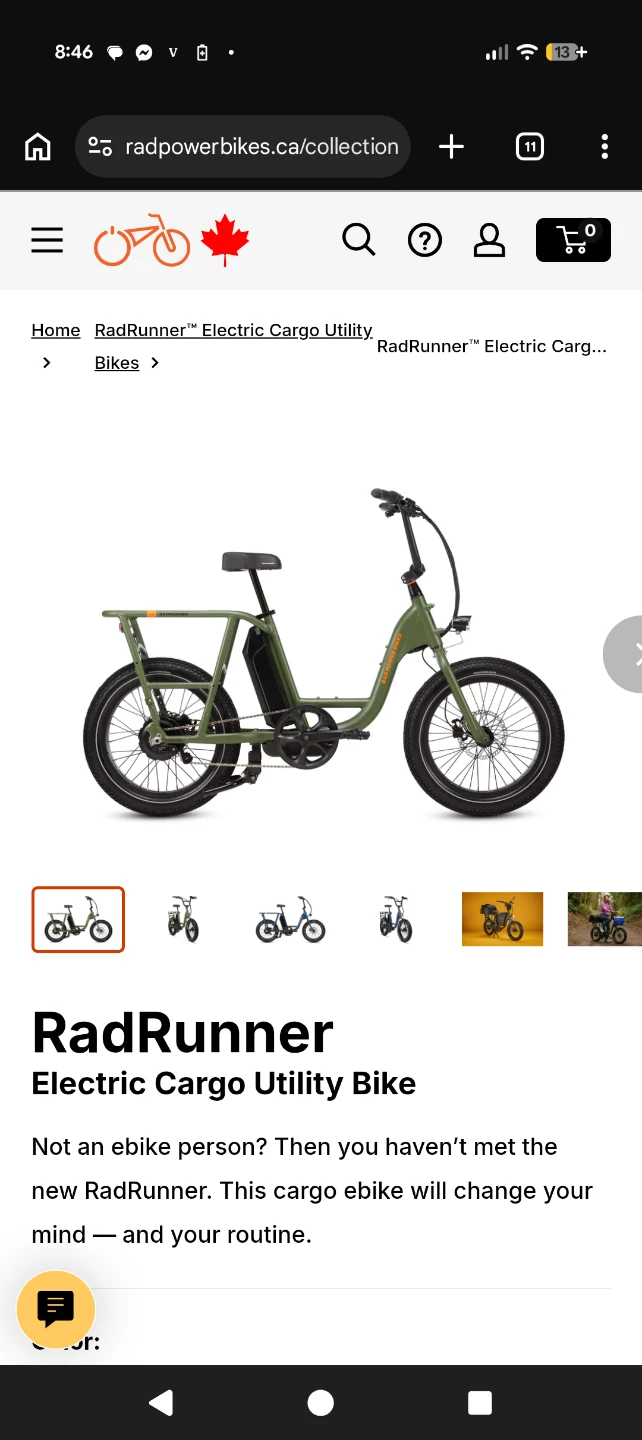 RadRunner Electric Cargo Utility 🚲 - photo 5
