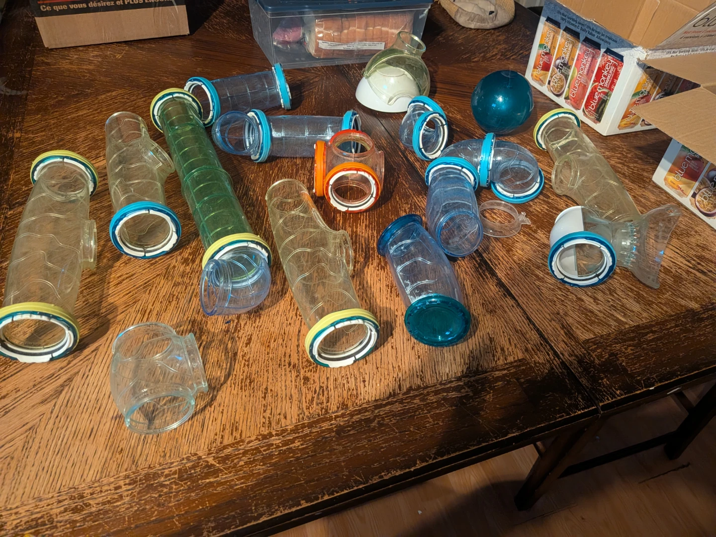 Hamster tunnels