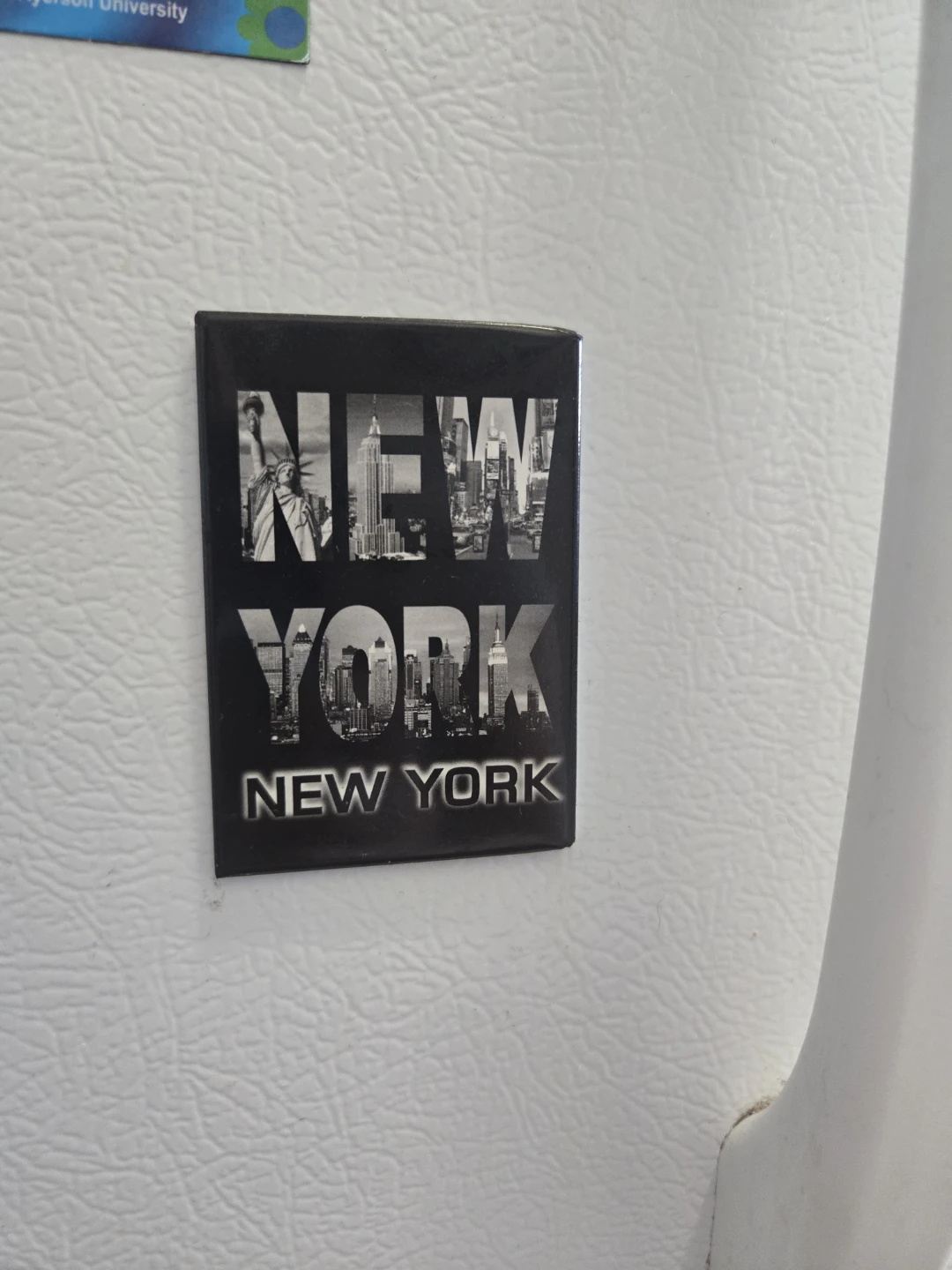 Fridge Magnet - New York Souvenir 2x3 inches