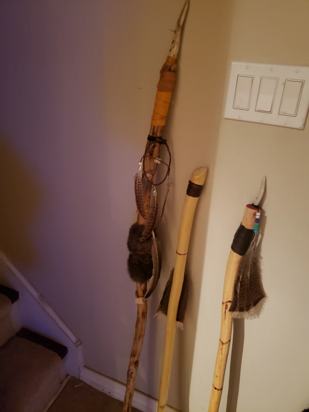 Hiking stick