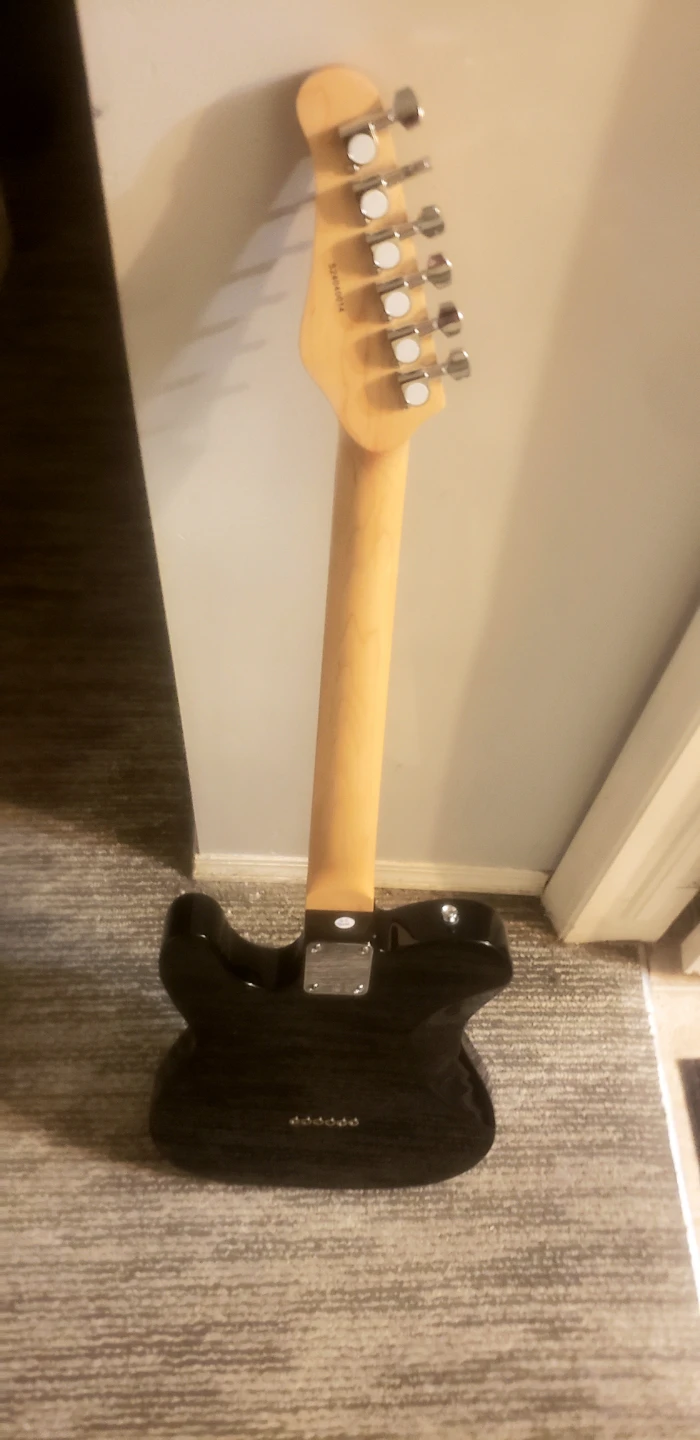 Washburn Black Tele+GigBag+Strap,(Sorry Pics are bad) - photo 4
