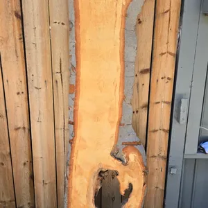 Live Edge Wood Slab