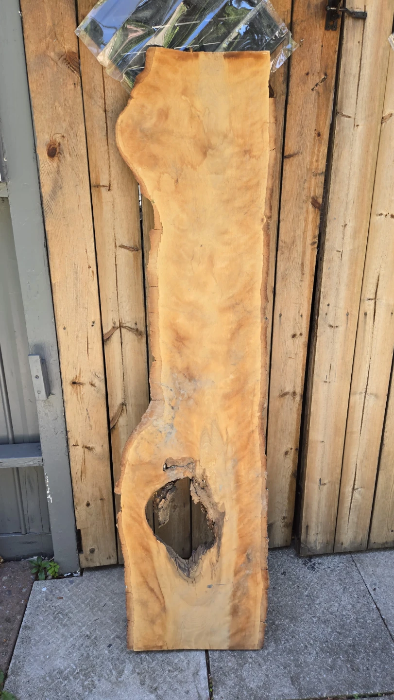 Live Edge Wood Slab - photo 2