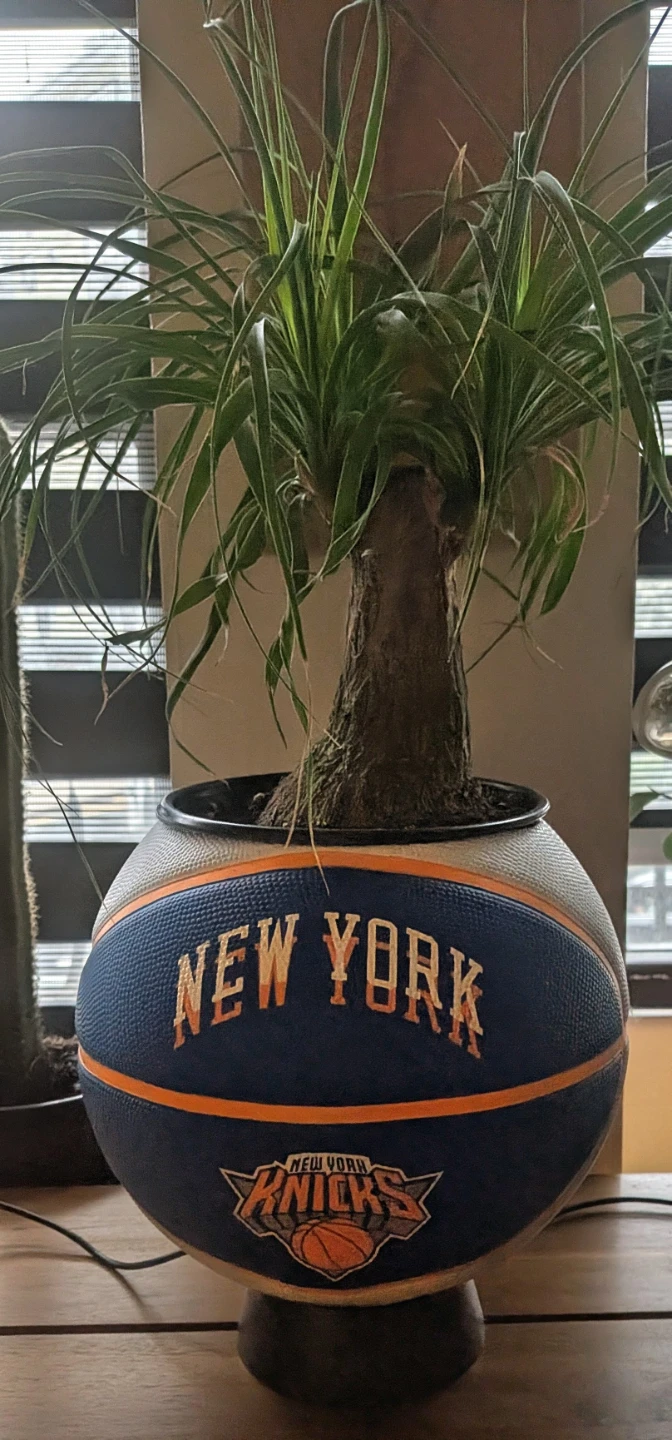 New York Knicks Basketball Planter