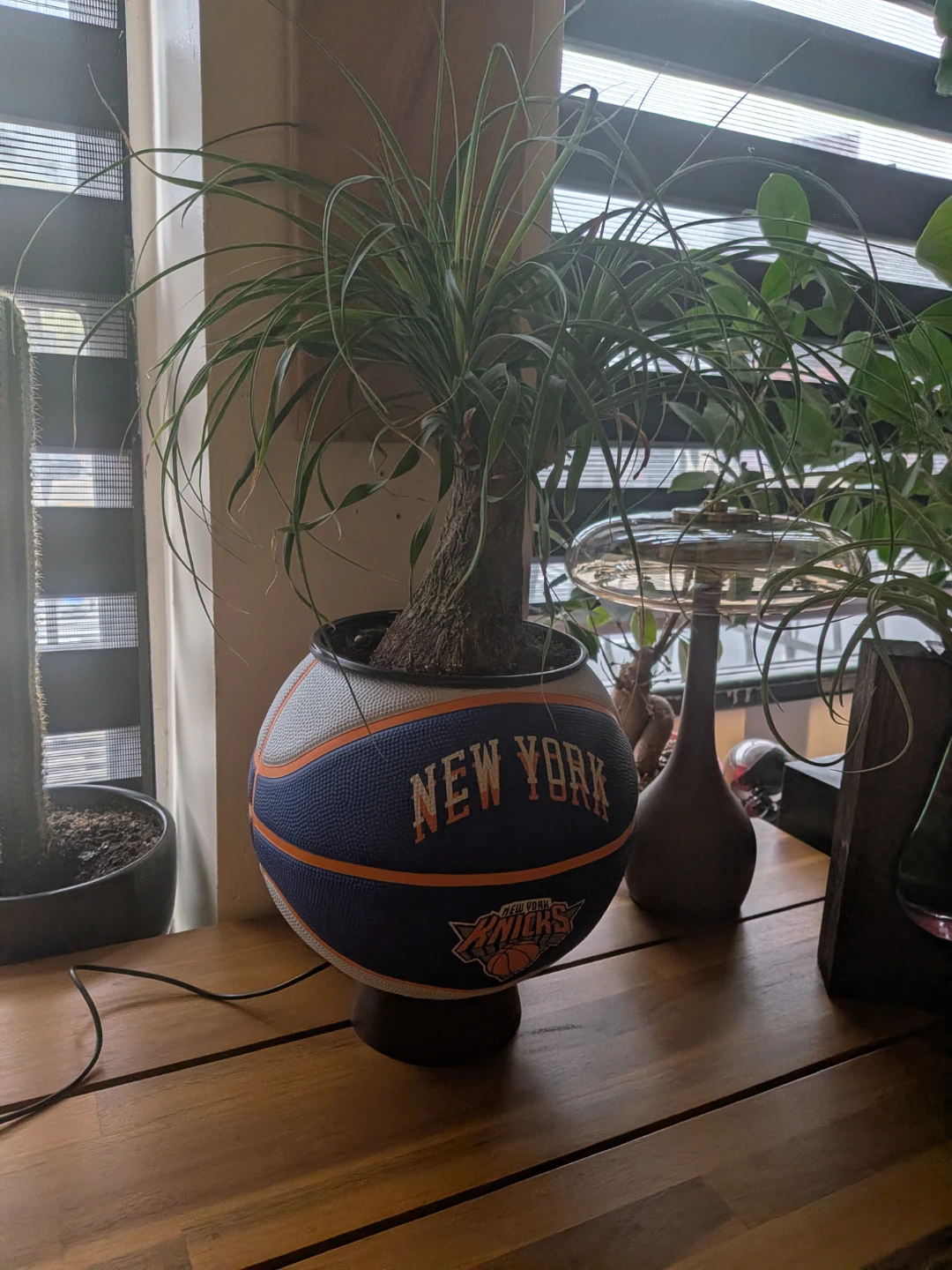 New York Knicks Basketball Planter - photo 2