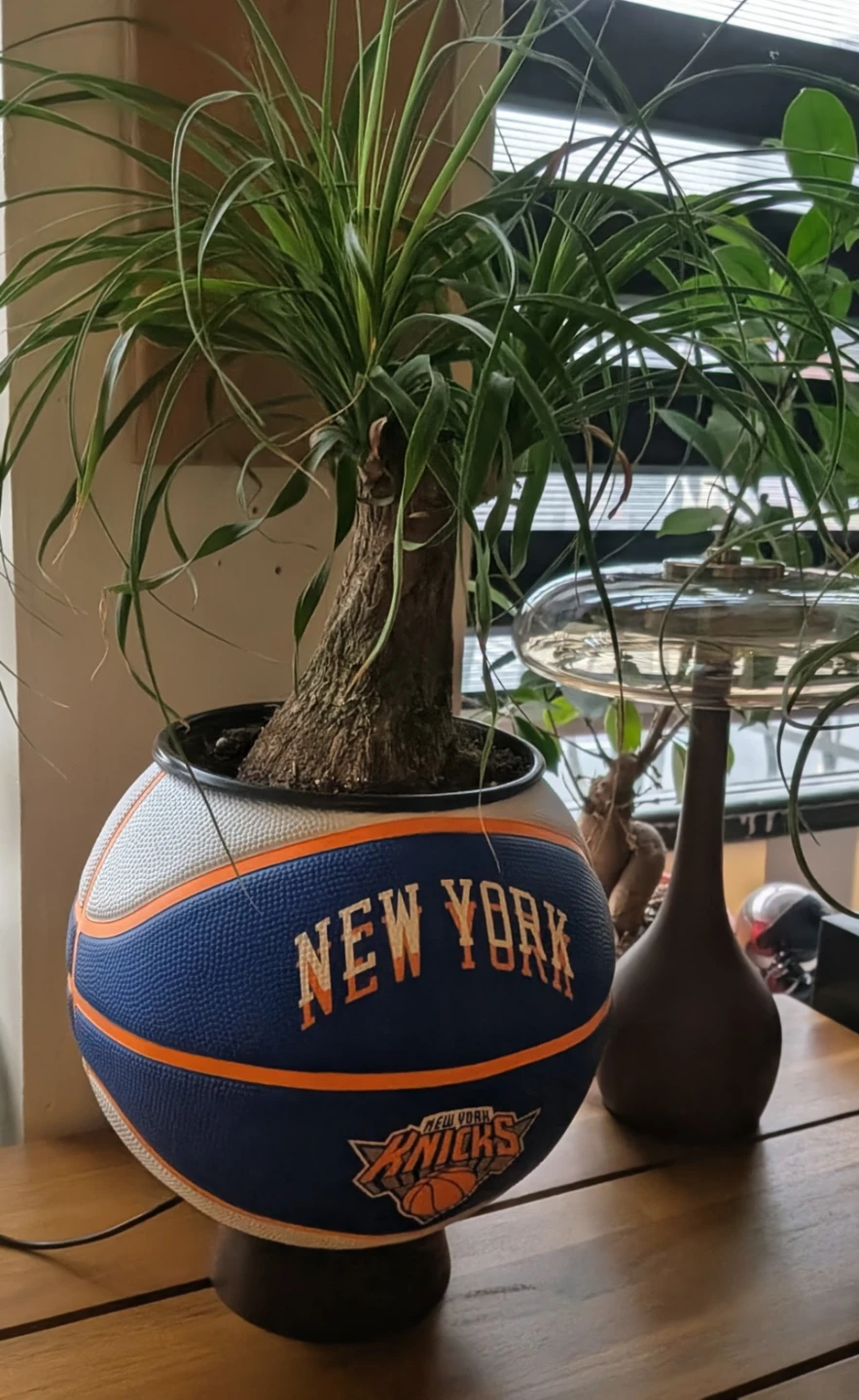 New York Knicks Basketball Planter - photo 3