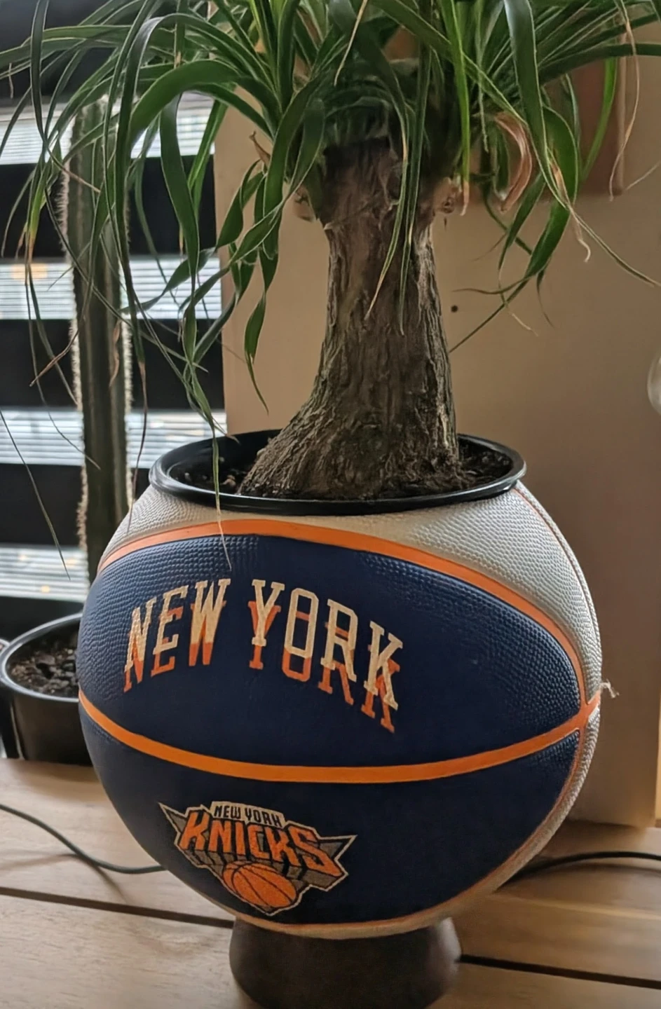 New York Knicks Basketball Planter - photo 4
