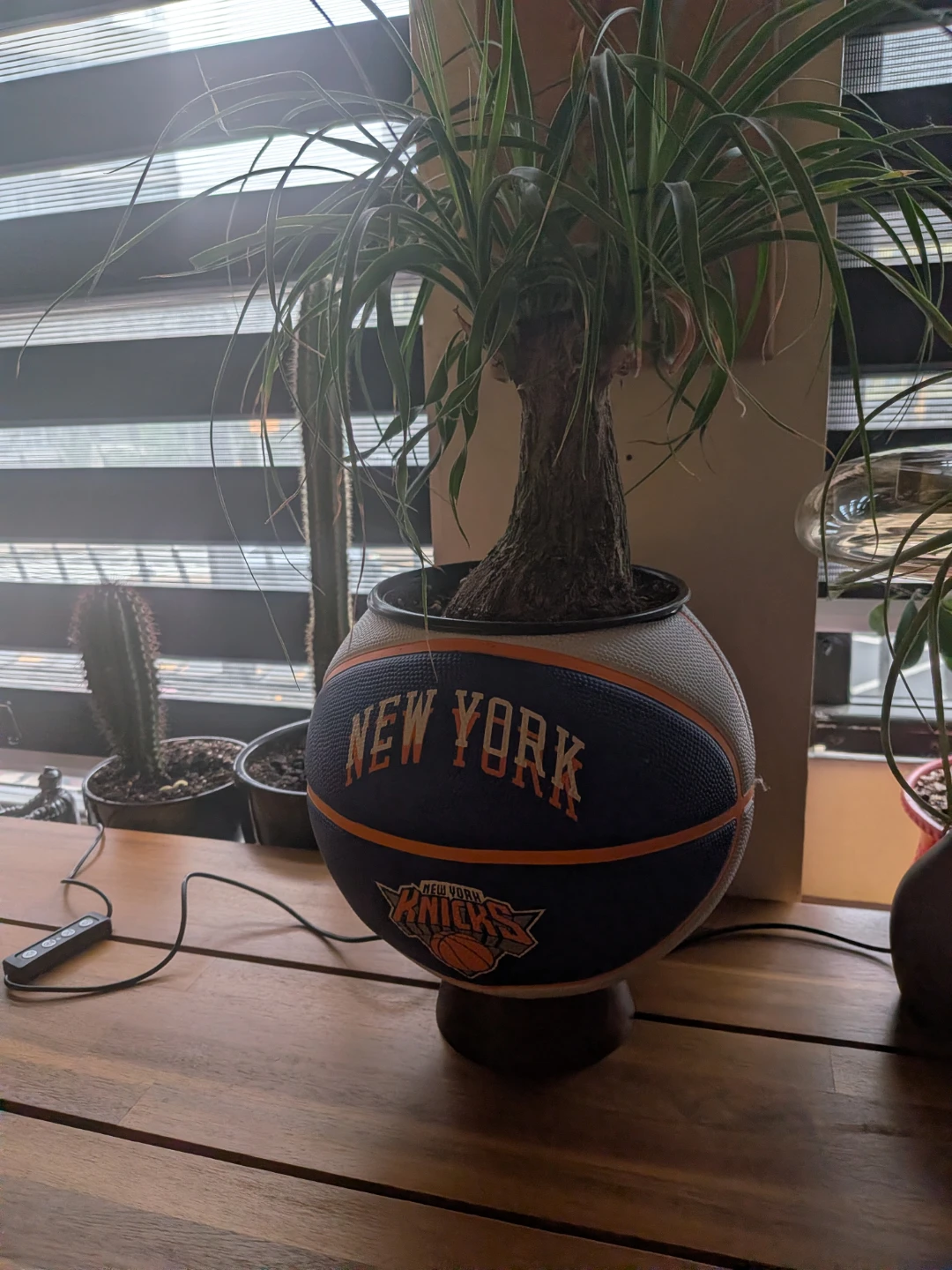 New York Knicks Basketball Planter - photo 5