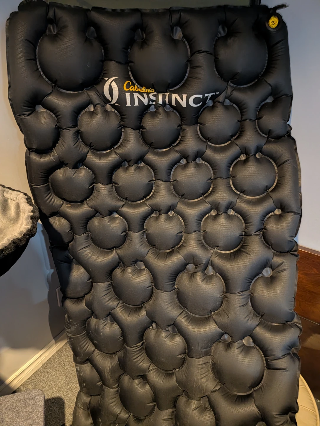 Cabela's Instinct Sleeping Pad