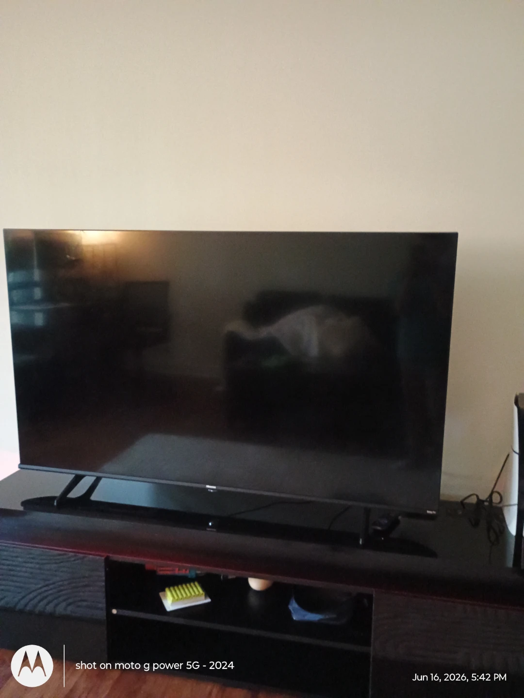 Hisence TV broken (costs 50 dollar to repair)
