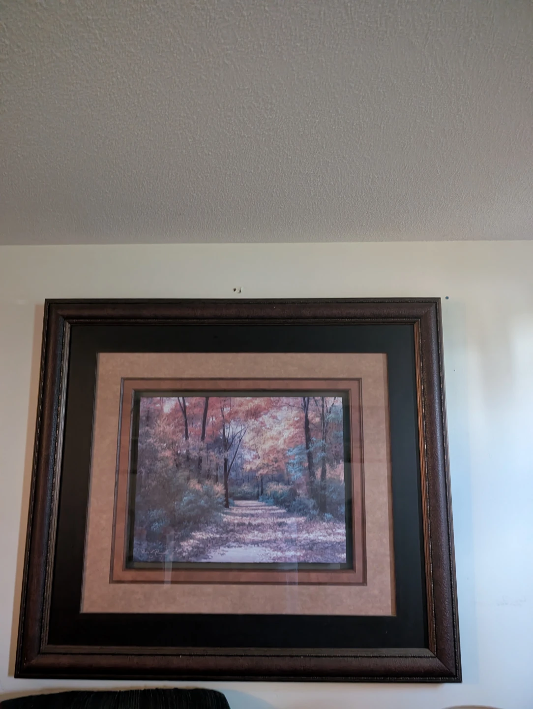 Framed Forest Landscape Wall Art
