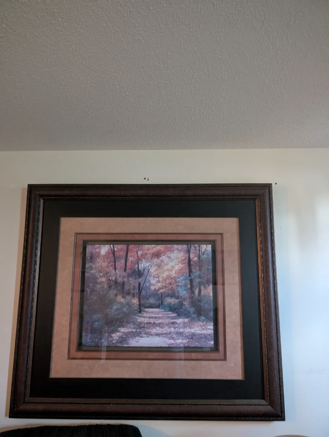 Framed Forest Landscape Wall Art