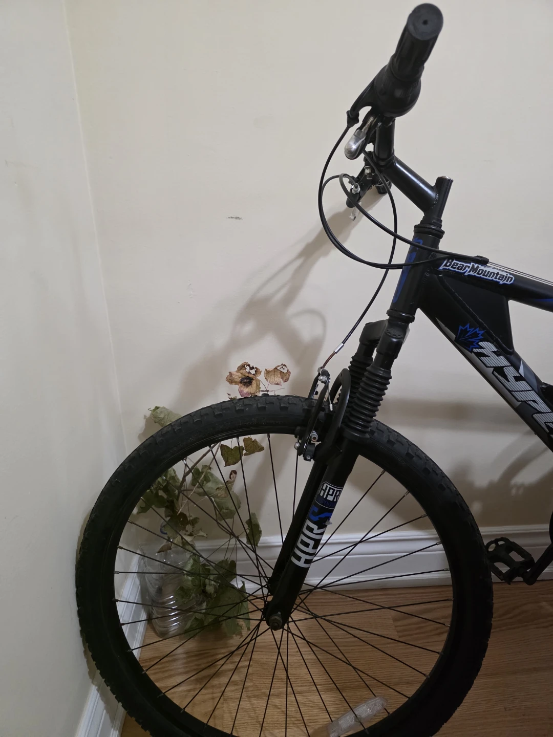 Hyper "Bear Mountain" Mountain Bike - photo 2