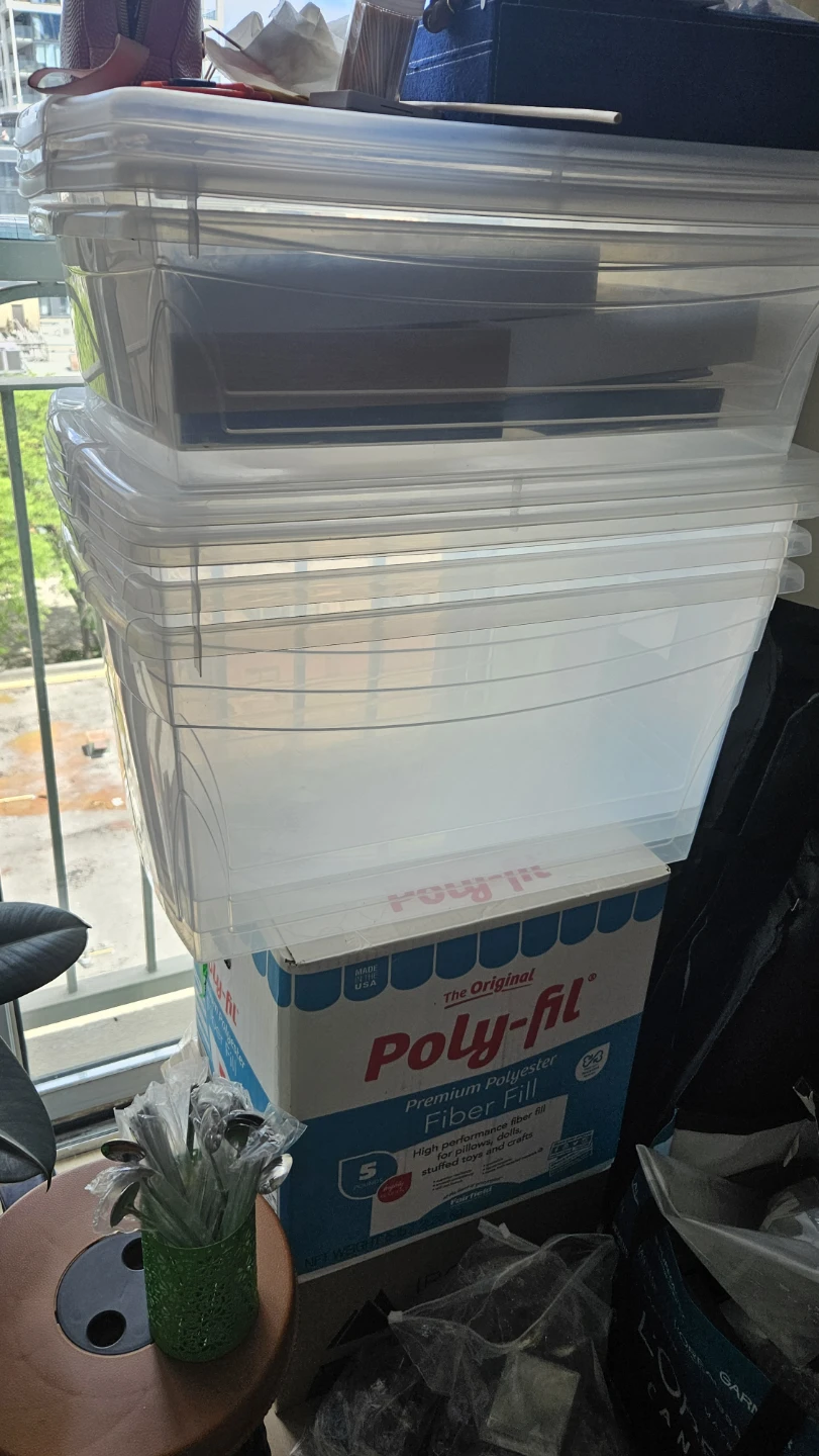 Clear Storage Bins with Lids