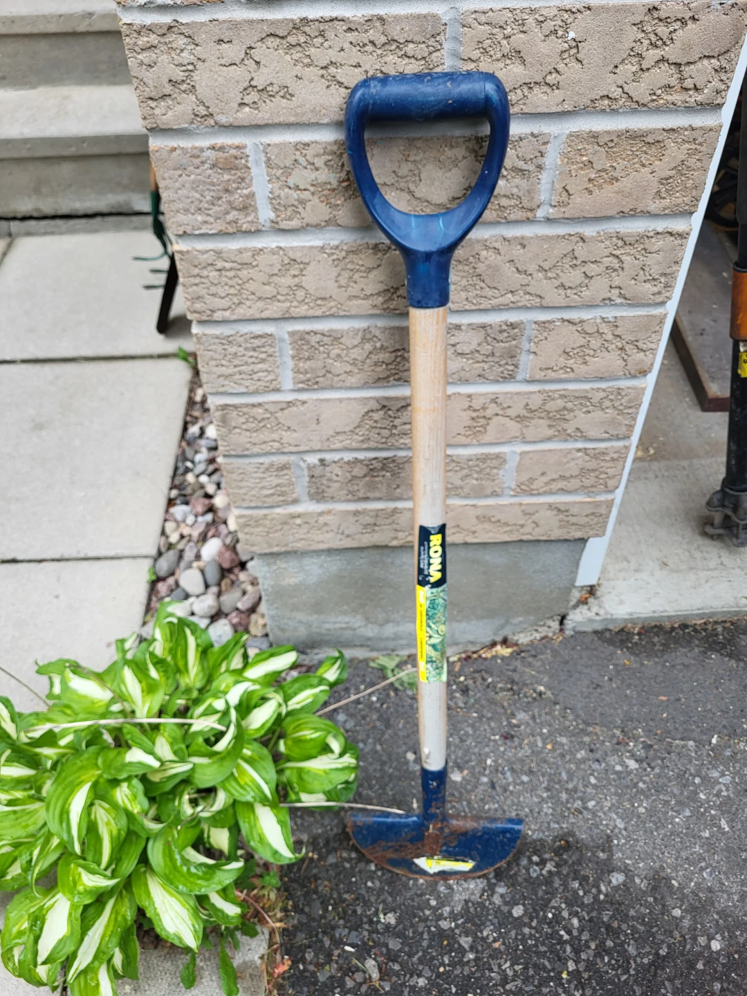 Lawn/ Garden Edger Tool with D-Handle