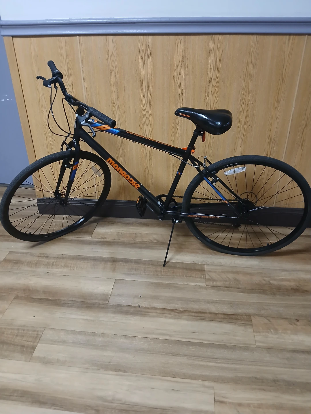 Mongoose Hybrid Bike
