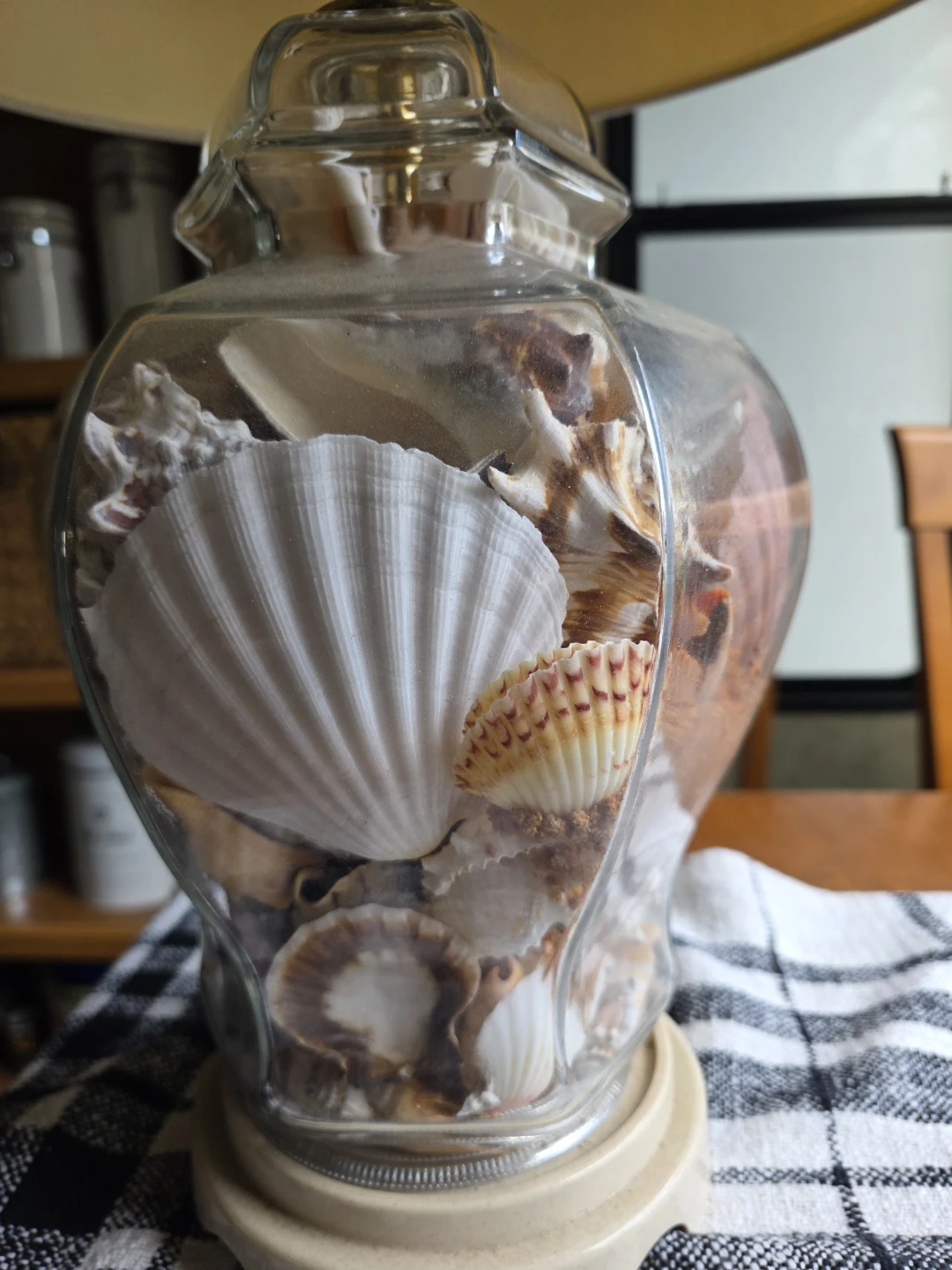 Florida shell lamp - photo 2