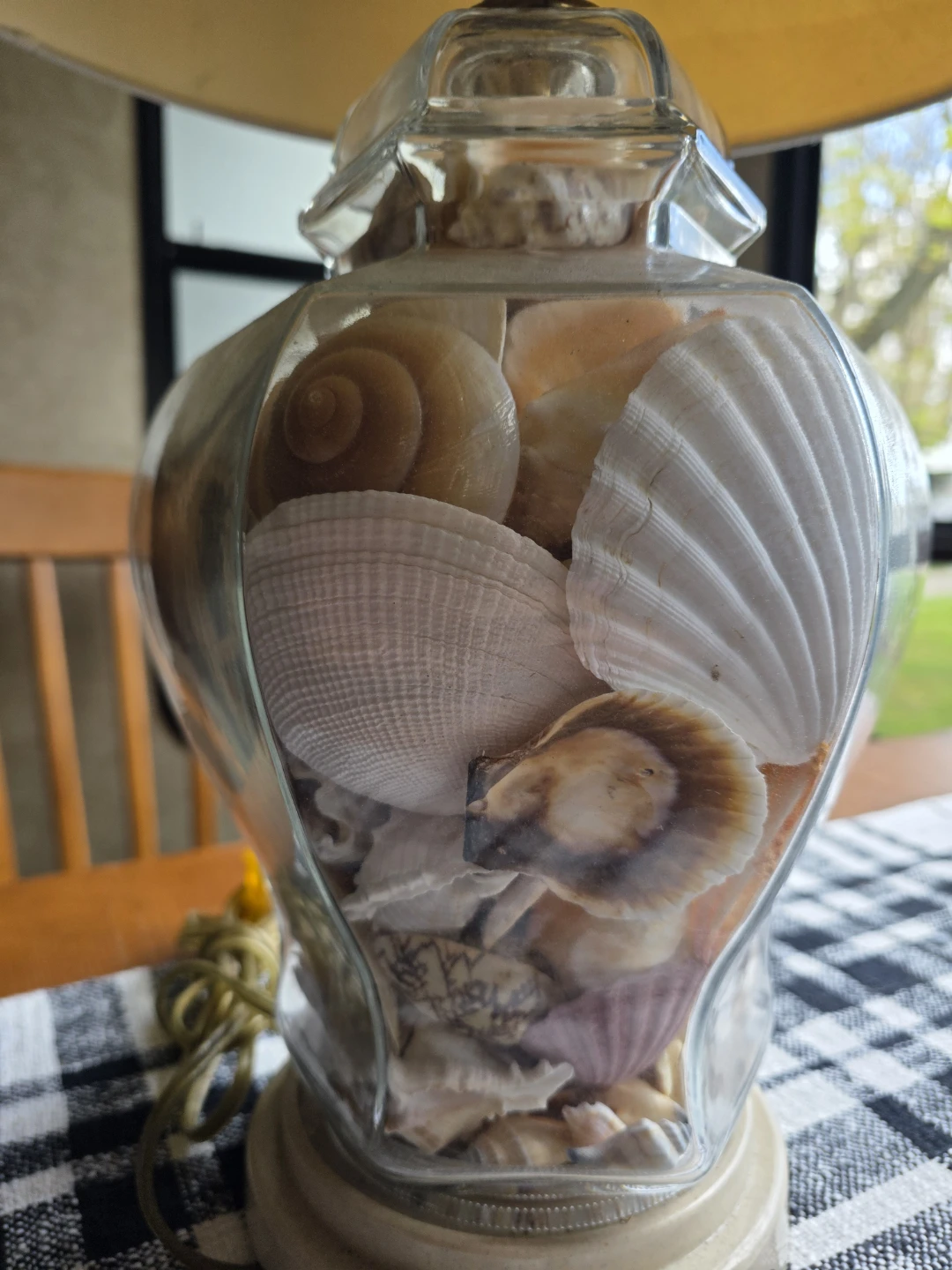 Florida shell lamp - photo 3