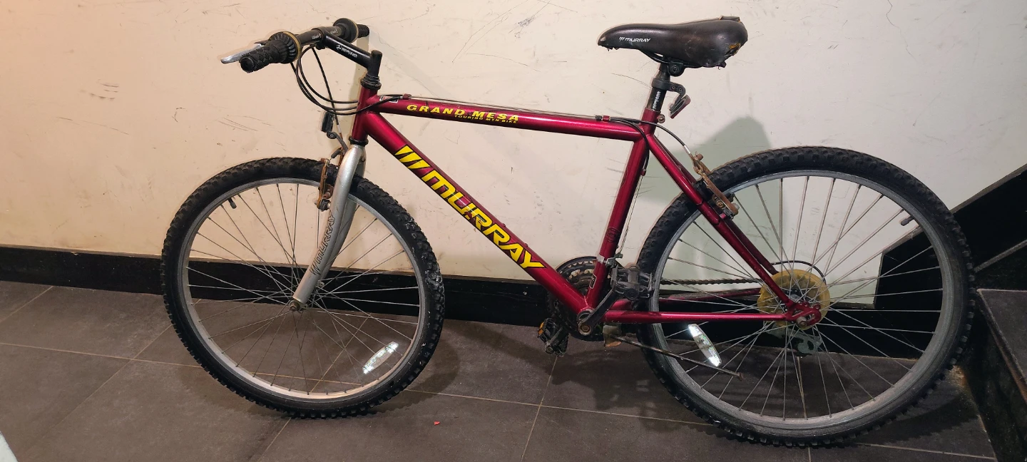 Murray Grand Mesa Mountain Bike