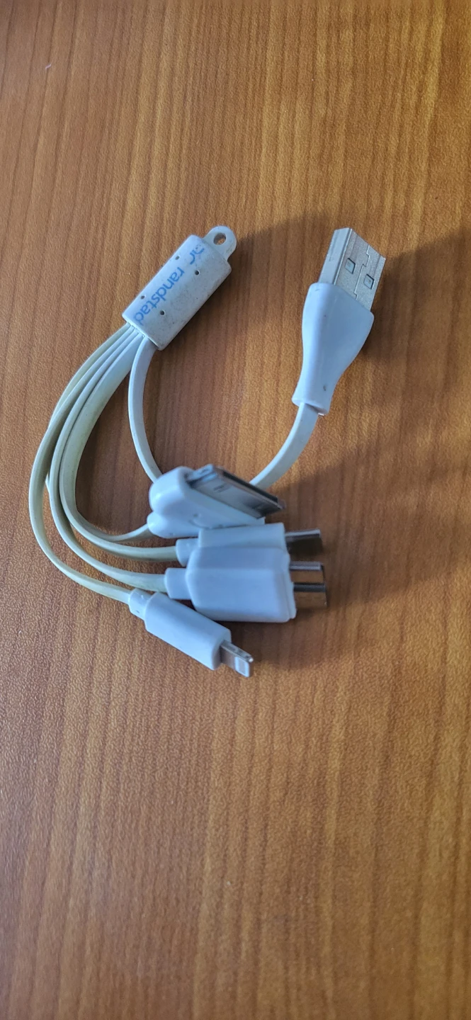 Randstad Multi-Charging Cable