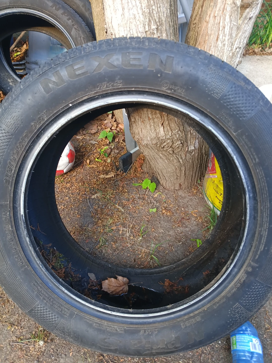 Nexen N'priz S - All season - 215/55R17