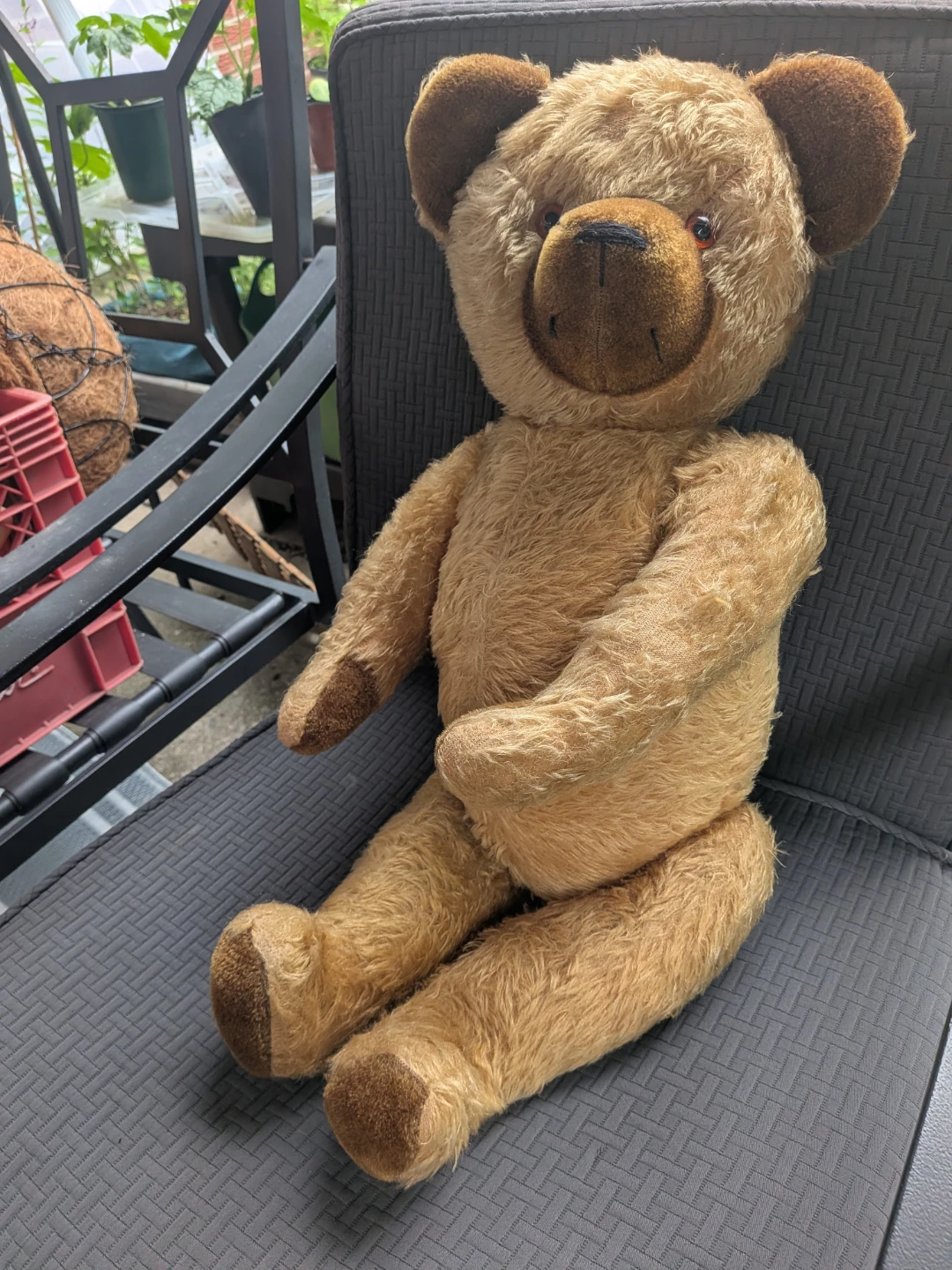 Vintage 1950's large Teddy Bear Plush Toy made in Germany - photo 2