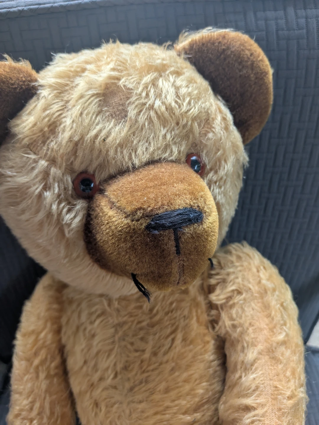 Vintage 1950's large Teddy Bear Plush Toy made in Germany - photo 3