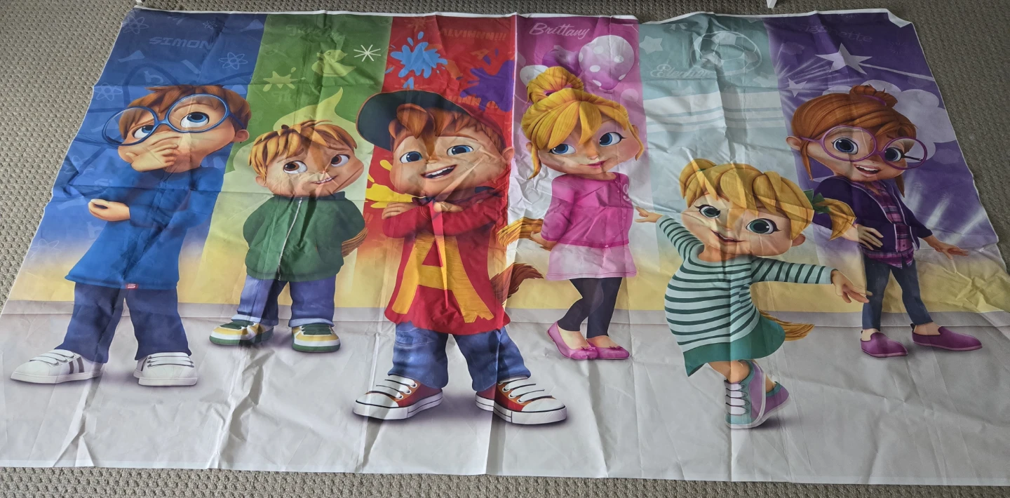 Assorted Birthday Party Backdrops & Decor