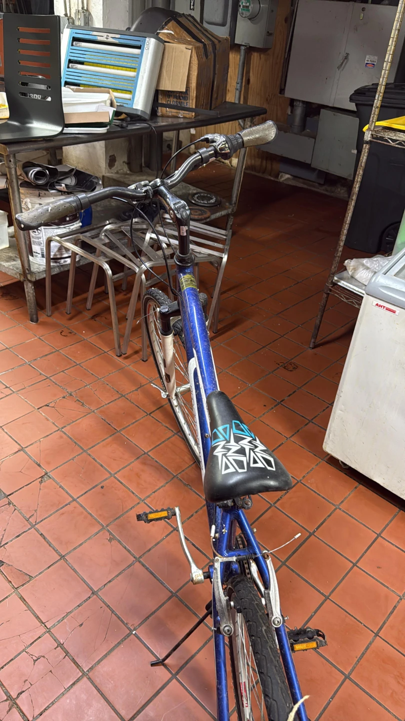 infinity Bicycle - photo 3