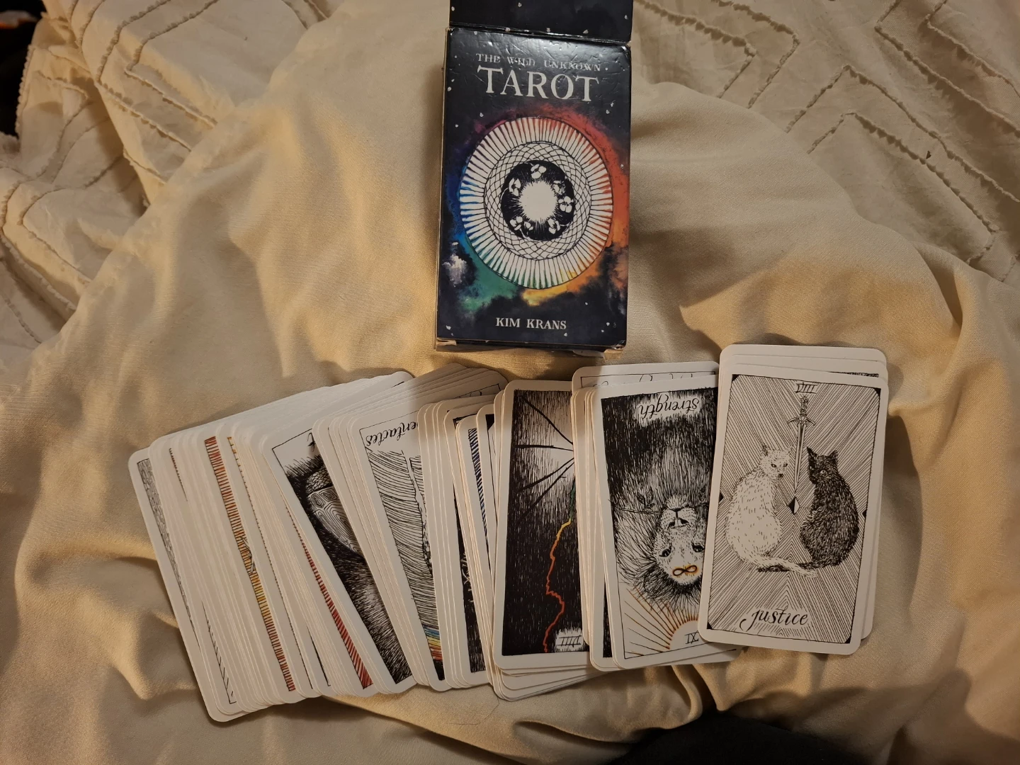 The Wild Unknown Tarot Deck by Kim Krans - photo 3