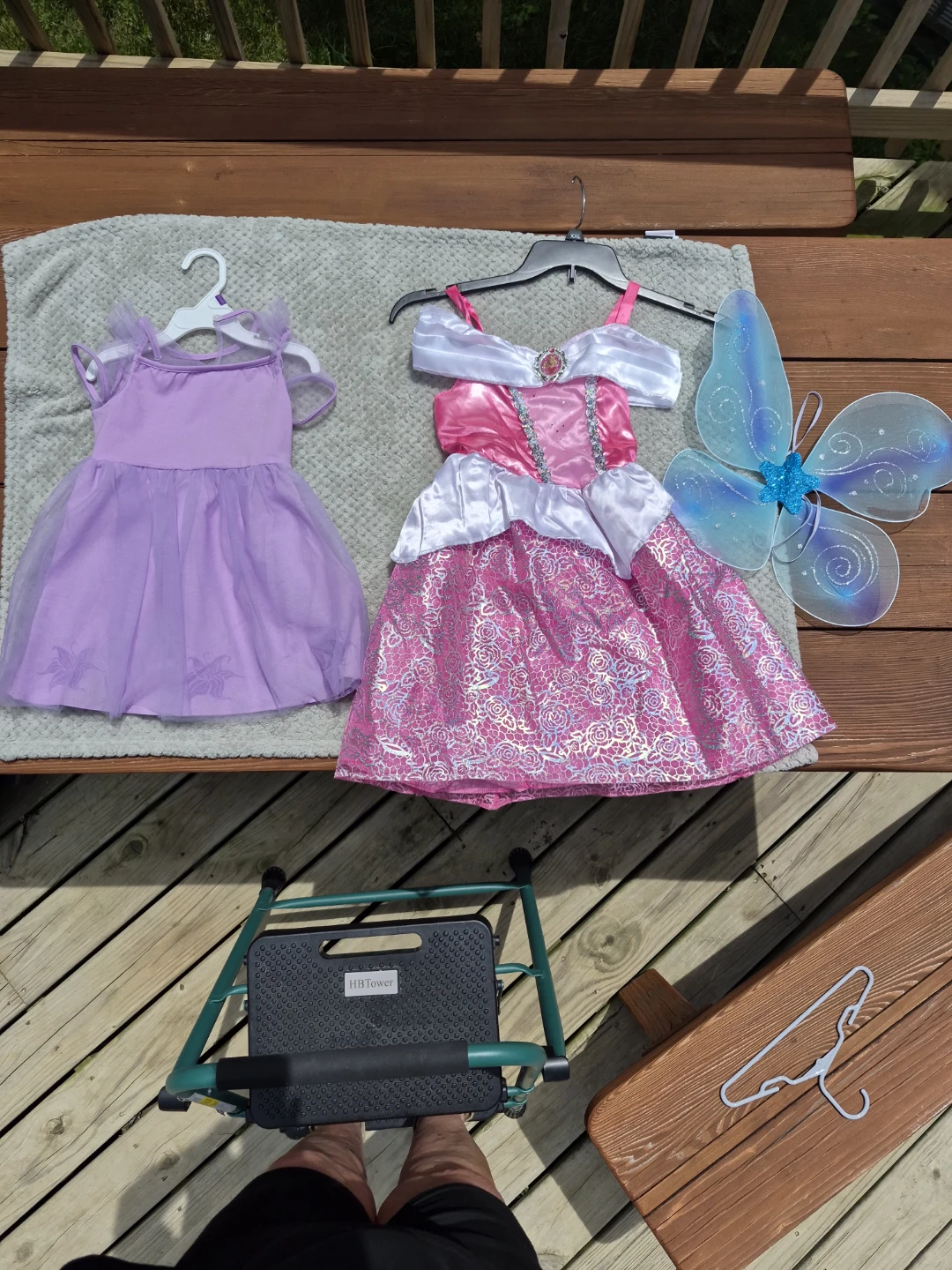 Disney Princess Dress Bundle with Wings