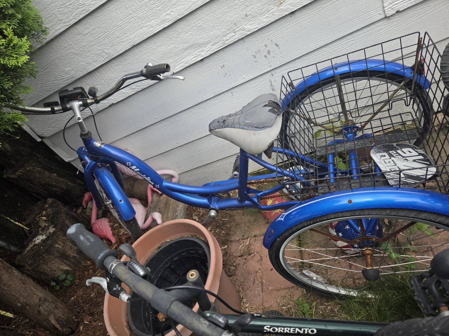 Blue Meridian Tricycle with Basket
