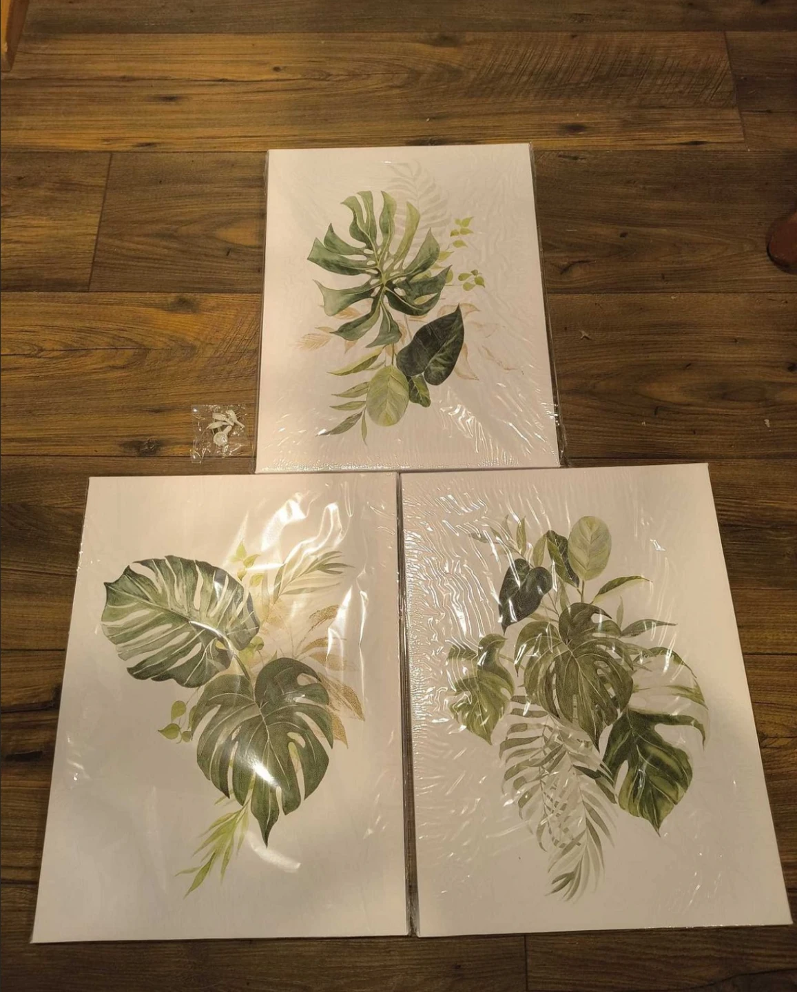 Set of 3 Botanical Prints