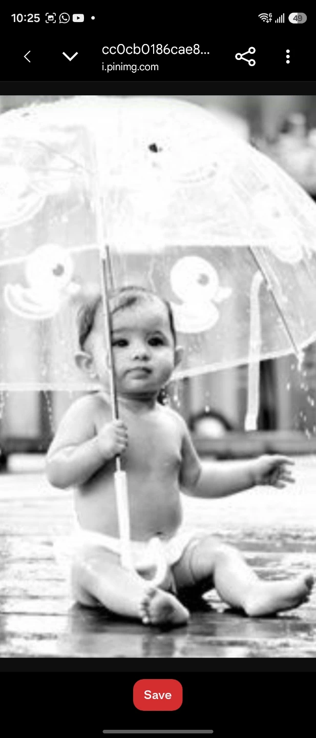 Baby Photo Props Bundle - photo 5