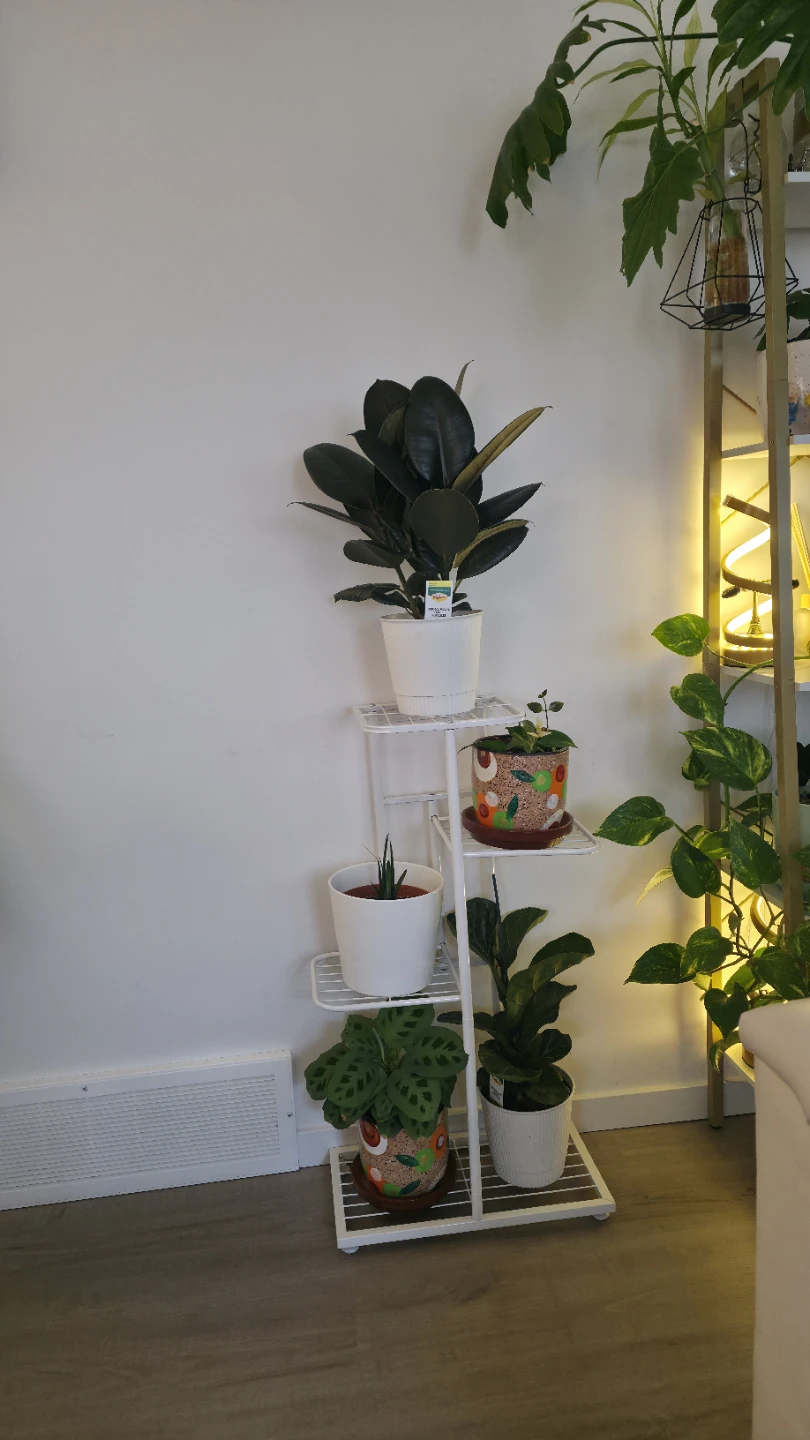White 4-Tier Metal Plant Stand